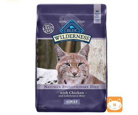 Dry cat food brands | Life Of Kitten