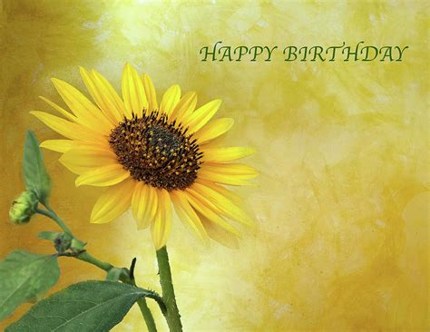 Total 47+ imagem happy birthday sunflowers - br.thptnganamst.edu.vn