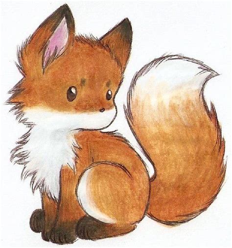 Pin by Andrea Schama on Cute Animal Illustrations | Cute fox drawing ...