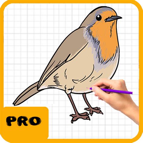 Draw Animals - Apps on Google Play