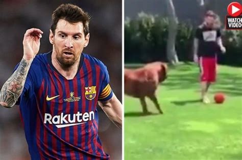 Lionel Messi’s dog leaves fans in stitches in rondo clip with kids ...