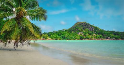 Amazing Facts About Seychelles - TheBiteTour.com