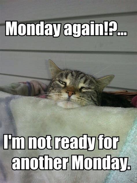 27 Funny Memes To Get You Through Monday! | Monday humor, Funny monday ...