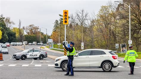 Hundreds without power in North York after falling tree knocks over hydro pole | CTV News