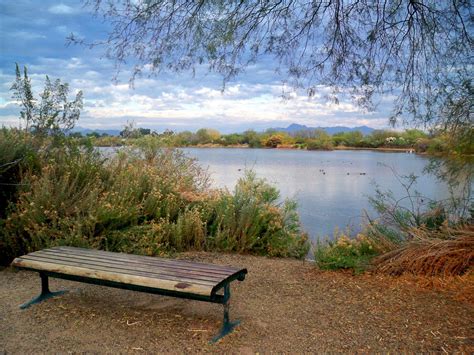 Immersed Yourself in Nature at Riparian Preserve at Water Ranch - AZ ...