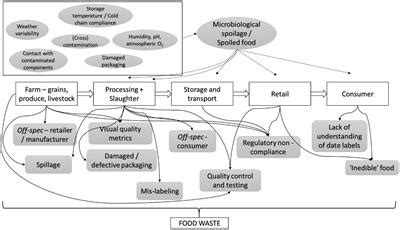 Frontiers | Linking microbial contamination to food spoilage and food ...