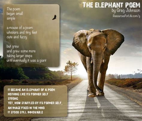 Beautiful :-) | Elephant quotes, Elephant images, Elephant