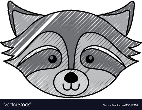 Raccoon Face Cartoon