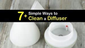 7+ Simple Ways to Clean a Diffuser