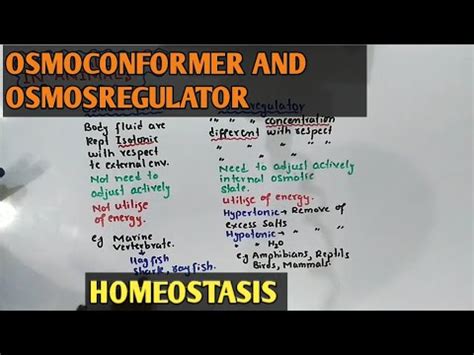 Osmoregulator and osmoconformer | osmoregulators and osmoconformers difference - YouTube