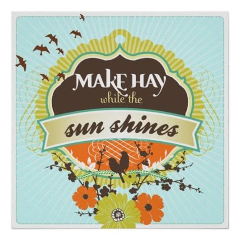 Make Hay While The Sun Shines Idiomatic Expression | Modern poster ...