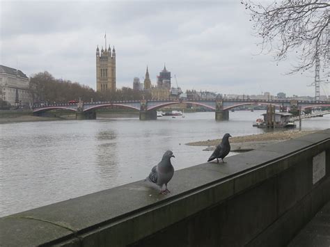 Thames Path – London Bridge to Putney | Andrew Grantham