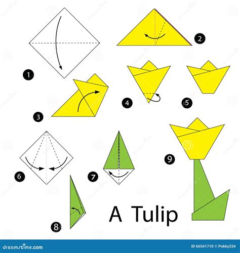 Step by Step Instructions How To Make Origami Tulip. Stock Illustration - Illustration of tulip ...