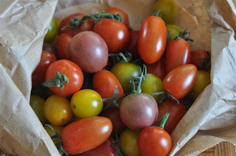 The 10 Best Cherry Tomato Varieties for Container Gardens - Garden and Happy