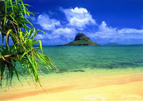 🔥 Download Hawaii Beach Pictures by @joshuahardin | Hawaii Pictures of Beaches Wallpapers ...