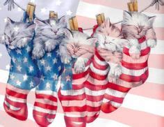 50 Cats Americat ideas | cats, patriotic cat, patriotic