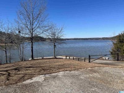 20 CLARKSON DRIVE, WEDOWEE, AL - lhrmls-01997583 - LakeHomes.com