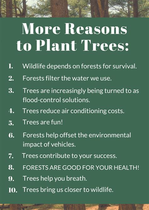 The Benefits of Tree Planting | The Woodlands Township Environmental Services