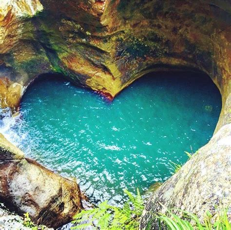 Beechmont, Queensland Australia. Hike to the top of the waterfall and ...