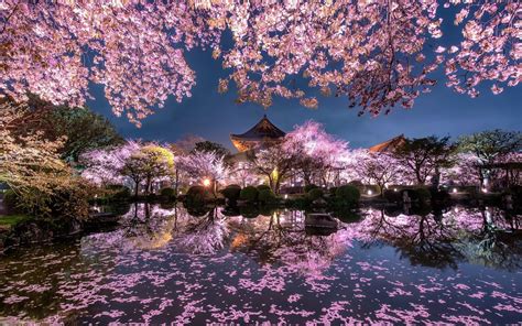 Japanese Garden Cherry Blossom Wallpapers - Top Free Japanese Garden ...