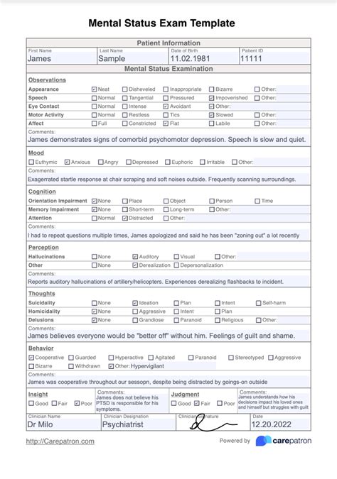 Mental Status Exam Template & Example | Free PDF Download