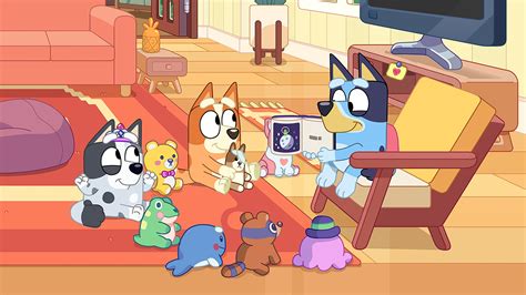 Bluey: New Episodes : ABC iview