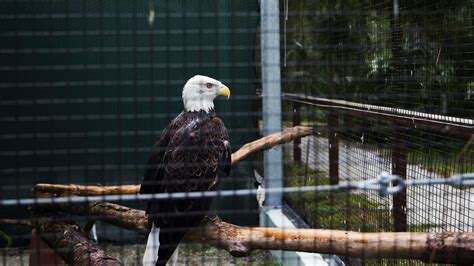 Calusa Nature Center and Planetarium needs help