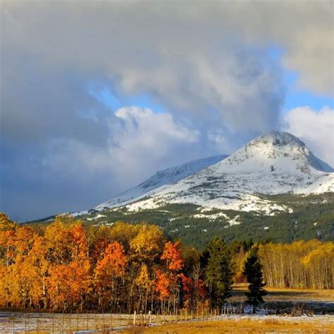 Where to Go for Fall Colors in Montana | Recommended By Montanans