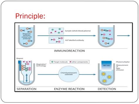 Chemiluminescence Immunoassay (CLIA) Technique