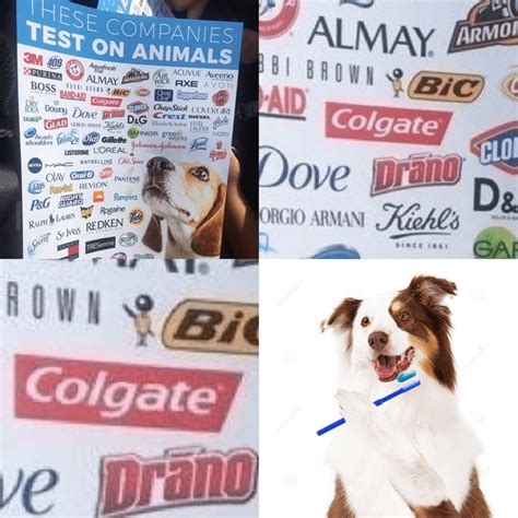 Animal Testing memes on the rise INVEST! : r/MemeEconomy