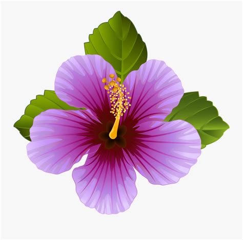 Purple Hawaiian Flowers Clip Art