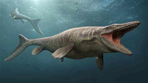 7 Prehistoric Creatures That Aren’t Dinosaurs