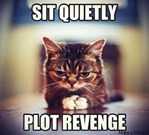 Plotting Revenge Funny Quotes. QuotesGram