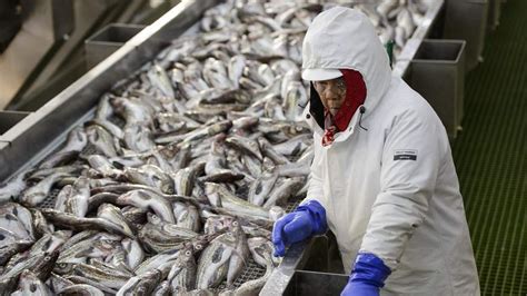 Alaska pollock fishing: It runs in the family