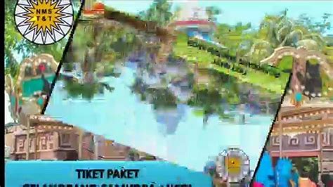 Tlp. 0815-6110-900, Tiket Gelanggang Samudra Ancol Terbaru - video ...