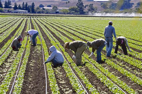 Catholic groups concerned by 2018 farm bill | America Magazine