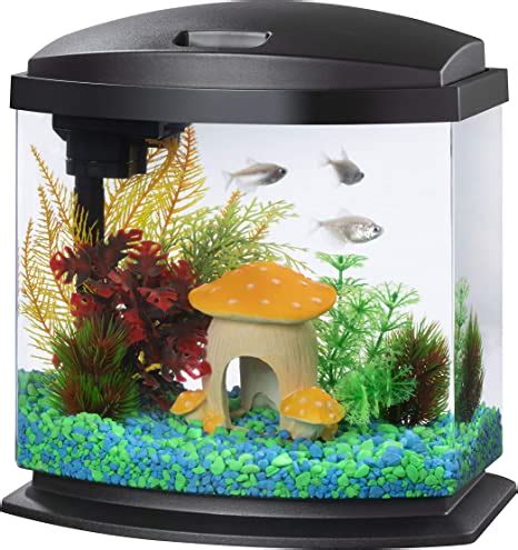 Aqueon LED MiniBow Small Aquarium Fish Tank Kit with SmartClean Technology, Black, 2.5 Gallon ...