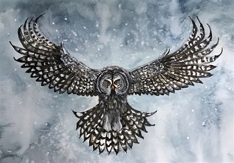 Great grey owl posters & prints by Monica Lindblom - Printler