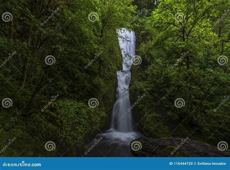 Bridal Veil Falls stock photo. Image of waterfall, spring - 116444720