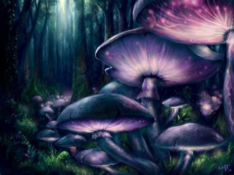 Purple and Blue Mushrooms in Fantasy Forest Fond d'écran and Arrière-Plan | 1600x1200 | ID ...