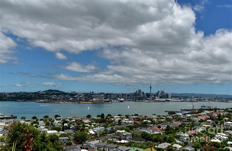 Auckland Cityscape Photograph by Dmitri Plouton - Fine Art America