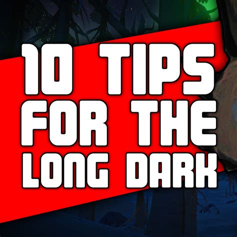 10 Tips for the Long Dark – Steam Solo