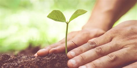 Do Women Make Better Farmers Than Men? | HuffPost