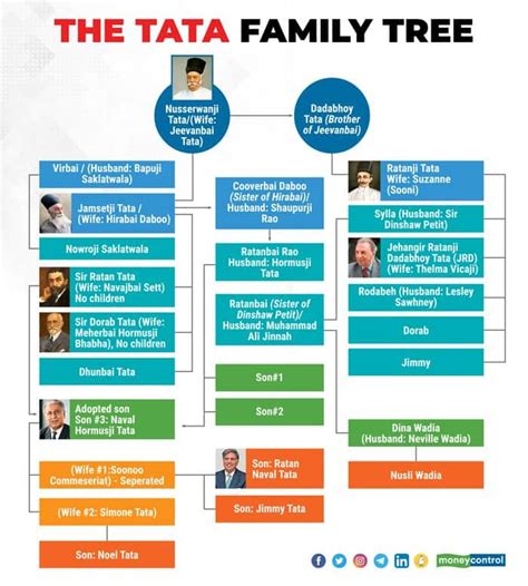 Facts About Tata Bt21 Family Tree - IMAGESEE