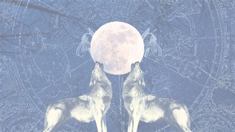 What is January's full Wolf Moon? What it means for your zodiac sign ...