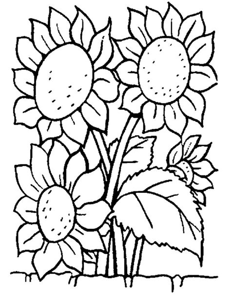 Print & Download - Some Common Variations of the Flower Coloring Pages | Printable flower ...