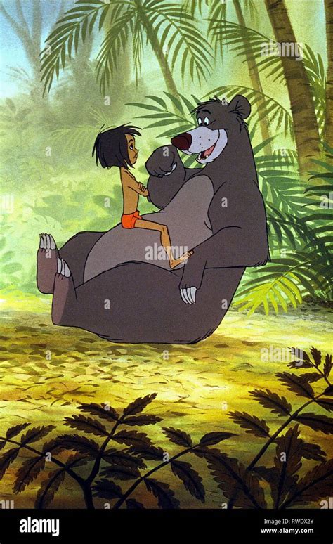 MOWGLI,l'OURS, LE LIVRE DE LA JUNGLE, 1967 Photo Stock - Alamy