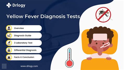 3 Accurate Yellow Fever Diagnosis Test For Timely Intervention - Drlogy