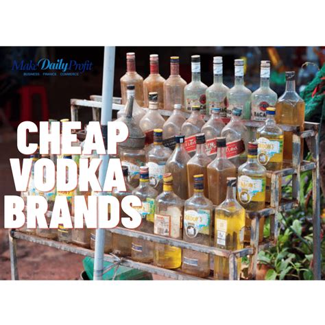 10 Best Cheap Vodkas to Drink On a Budget in 2023 - Makedailyprofit