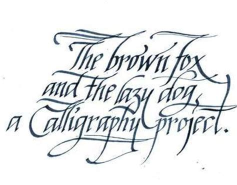 The 'Quick brown fox' Calligraphy project on Behance